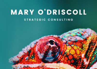 Mary O'Driscoll Client Story Main Logo