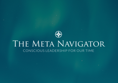 Mary T Tierney Client Story The Meta Navigator Logo