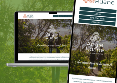 Angie Ruane Website Overview