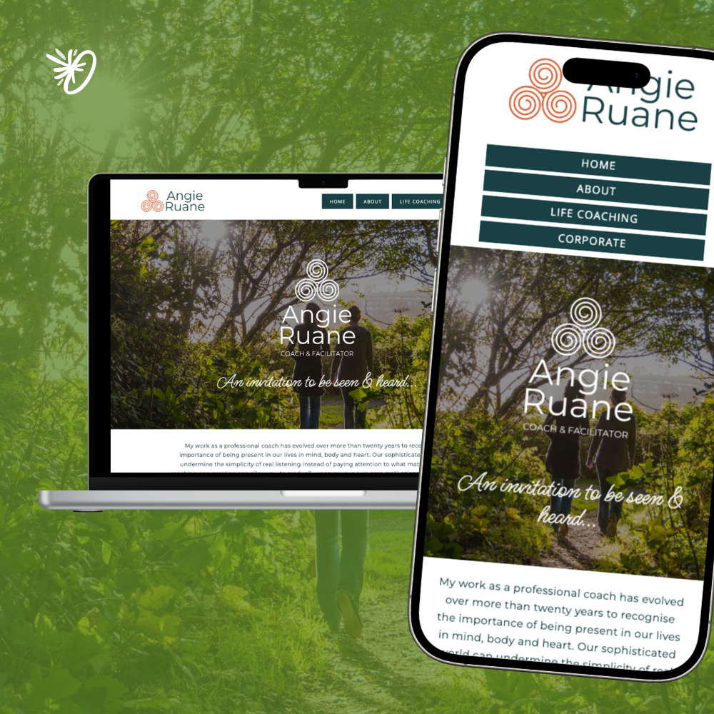 Angie Ruane Website Overview