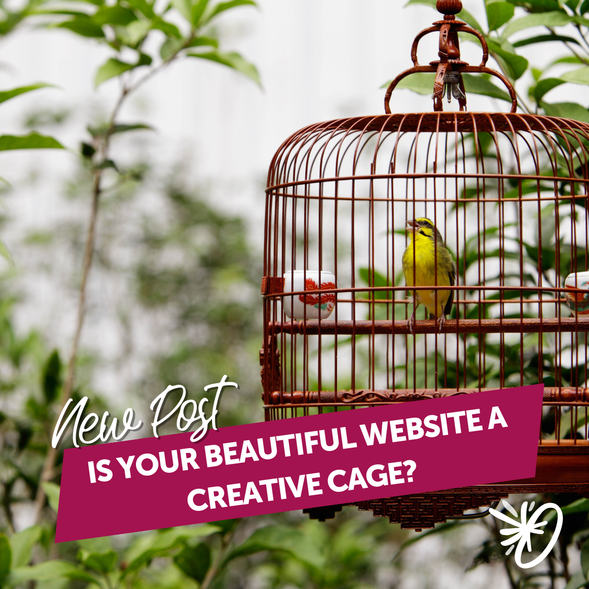 Is your beautiful website a creative cage